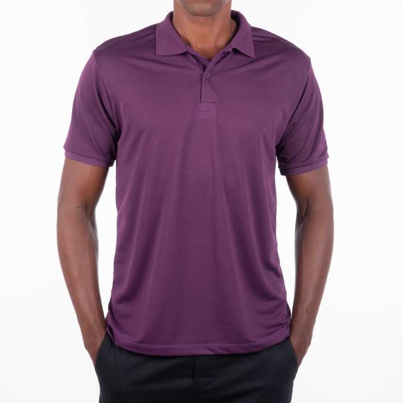 Camisa Gola Polo Masculina Roxa Não Amassa Micro leve Manga Curta Top ...