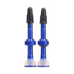 Válvula Absolute Tubeless 48mm - Par