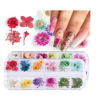 12 Flores Secas Encapsulamento Unhas Decoração Cores Uv Led