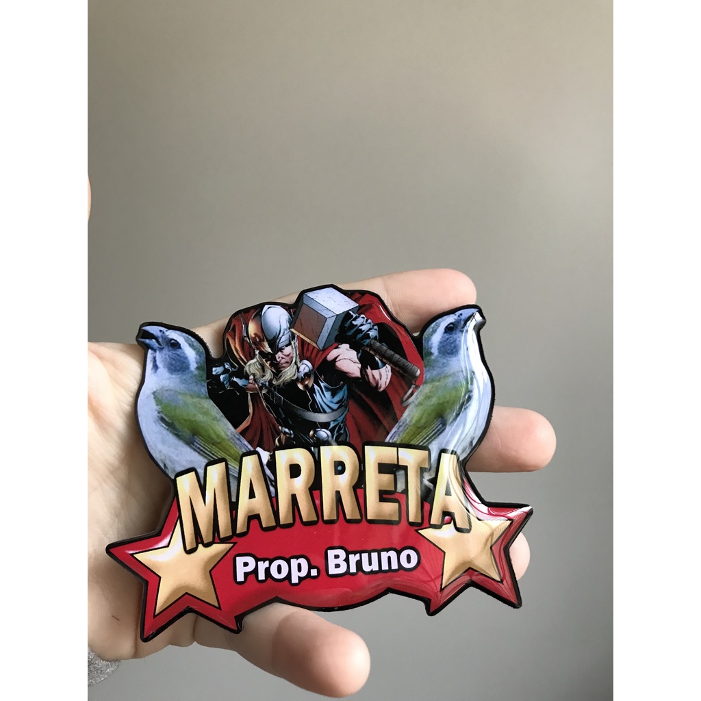 Placa personalizada para gaiola de pássaros lisas e resinadas trinca ferro, coleiro, baiano, bico pimenta, canario, tiziu, curio, sabiá, galo de campina, azulão, tico tico, frade, bigodinho, marreta
