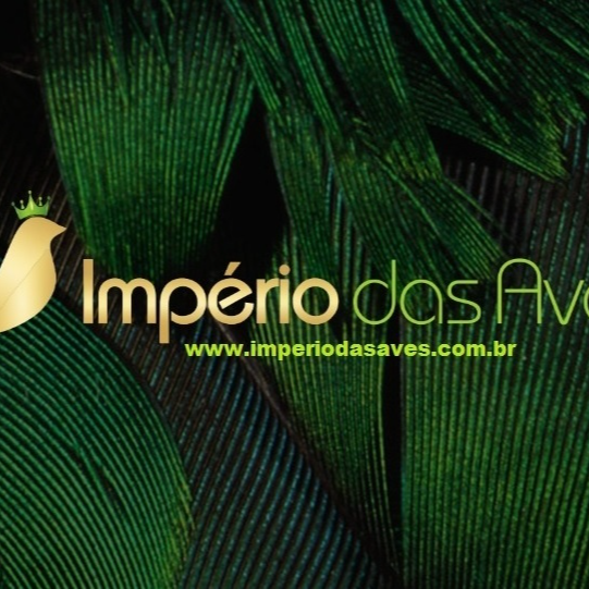 Império das Aves 2