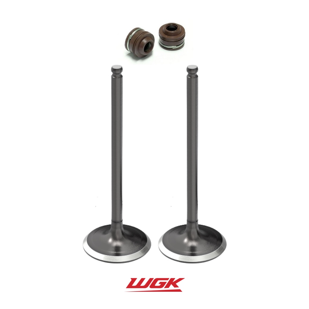 Válvula Admissão Escape Wgk Ys 250 Fazer Lander Ténéré Par em Oferta na Shopee