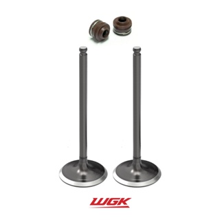 Válvula Admissão Escape Wgk Ys 250 Fazer Lander Ténéré Par em Oferta na Shopee