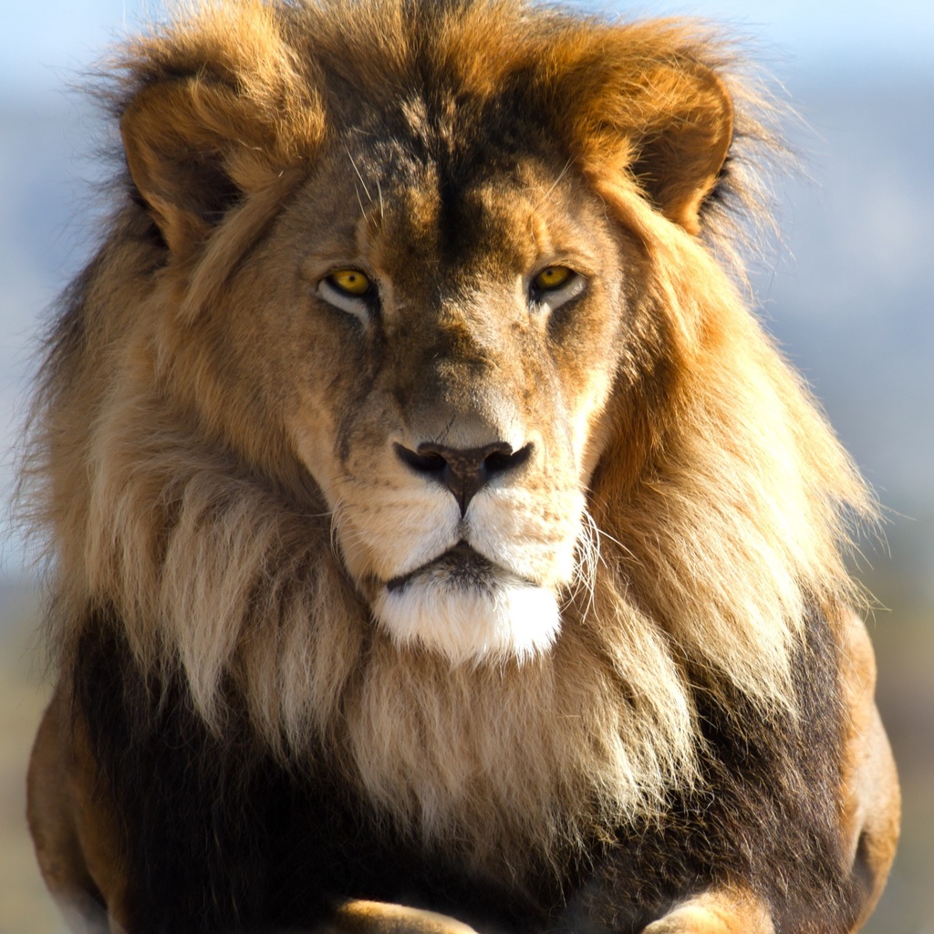 Recanto dos Presentes