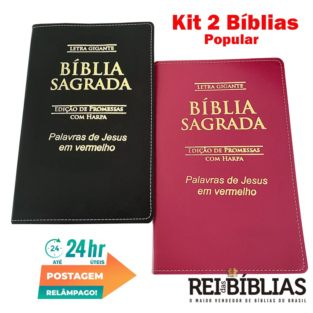 Kit 2 Biblias Sagrada Letra Gigante Luxo Popular - Preta E Pink - Com ...