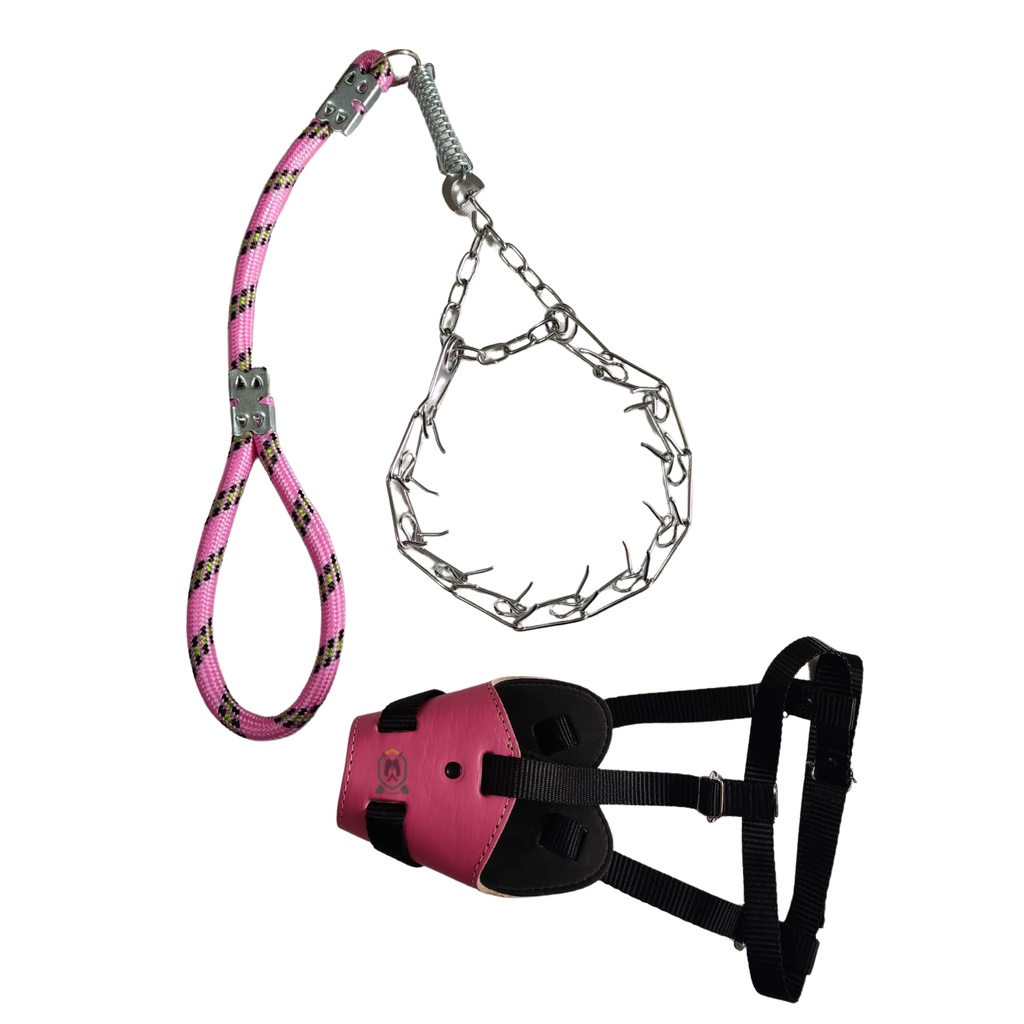 Husky Siberiano Pastor Alemão: Onde Comprar | BuscaProdutos