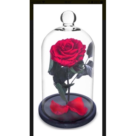 Cúpula de vidro - A bela e a fera - Redoma de vidro com rosa importada. |  Shopee Brasil