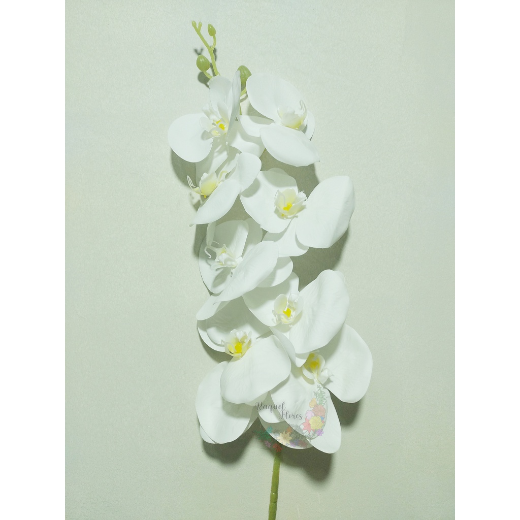 orquidea de silicone branca toque real | Shopee Brasil