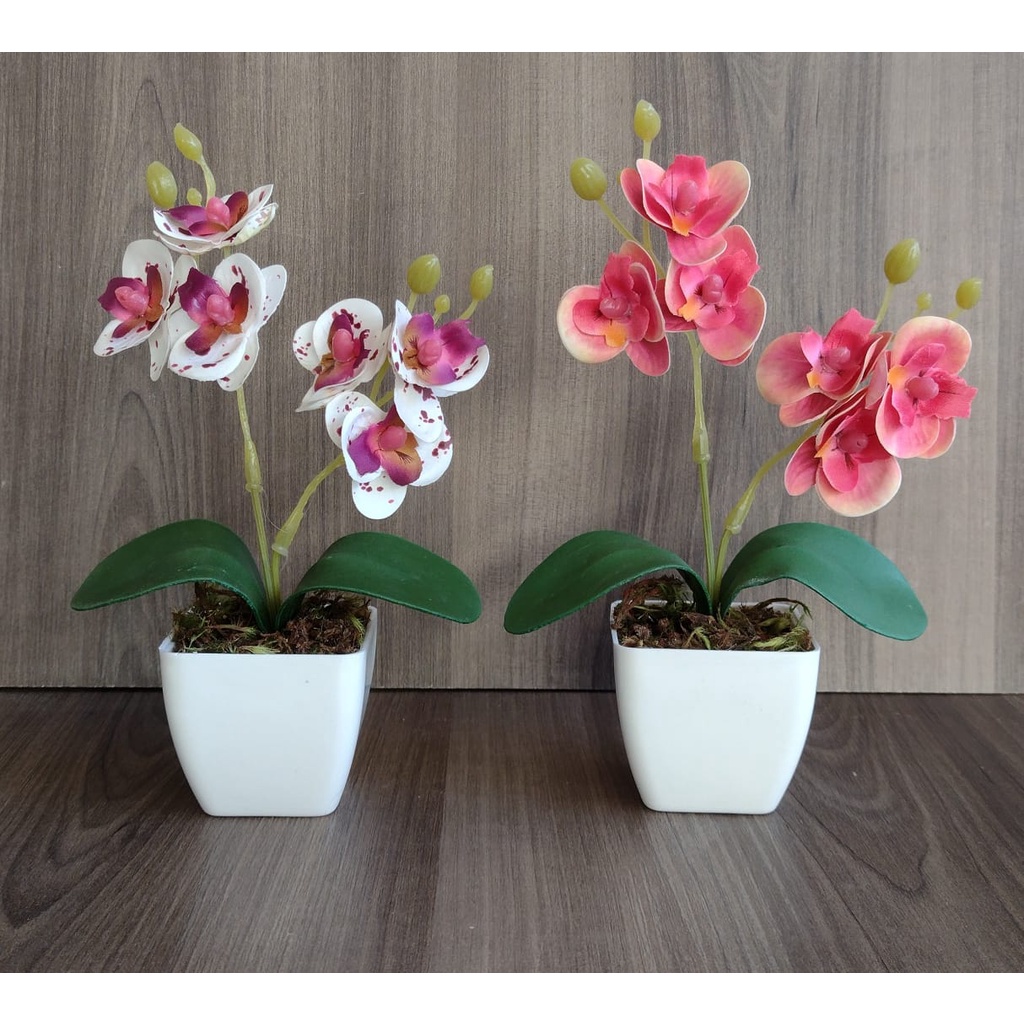 Kit 2 Orquídeas Artificiais No Mini Vaso Quadrado Branco Com 20 Cm | Shopee  Brasil