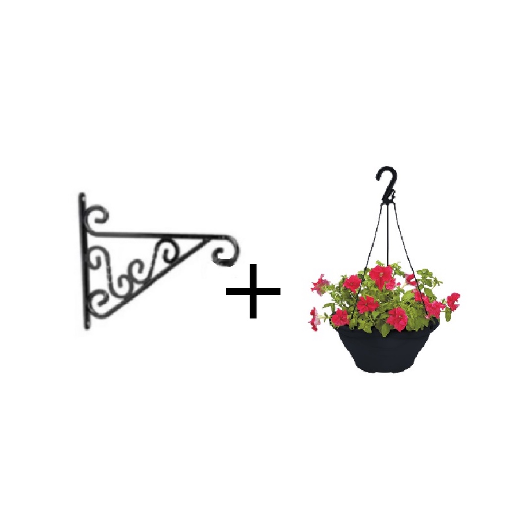 Suporte para Pendurar Plantas + Vaso Suspenso em Plástico para Samambaias e  Arranjos de flores decoração de varanda, jardim suspenso, suporta ate ta 10  kg vaso grande | Shopee Brasil