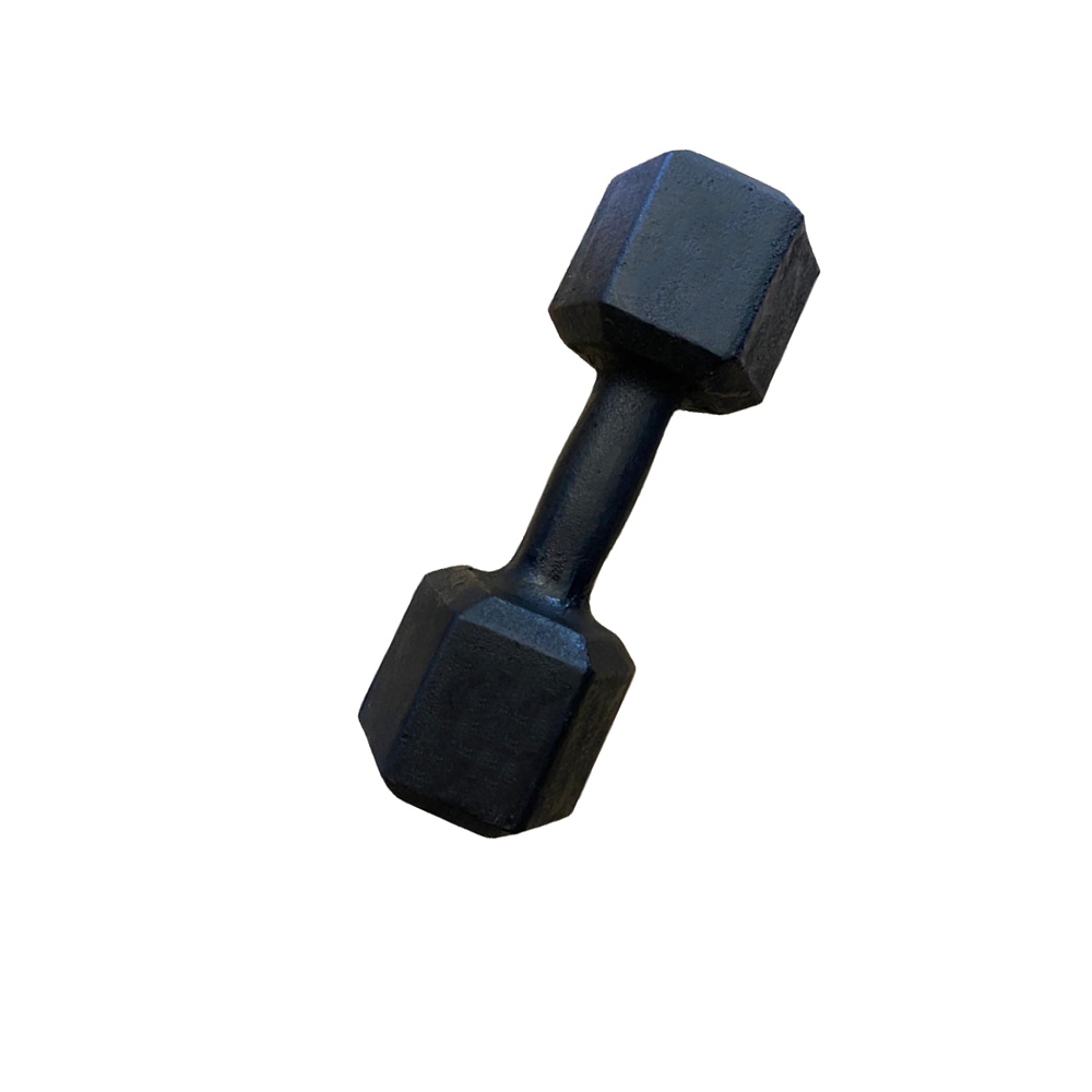 Halter Sextavado Pintado - unidade 10kg Treino Musculação