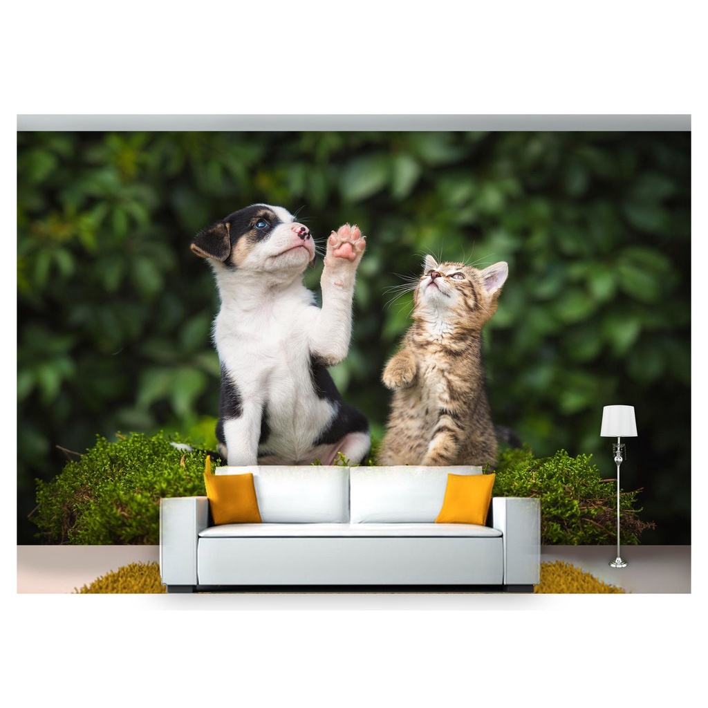 papel de parede Animais cachorro e gato 3D m² ANM235