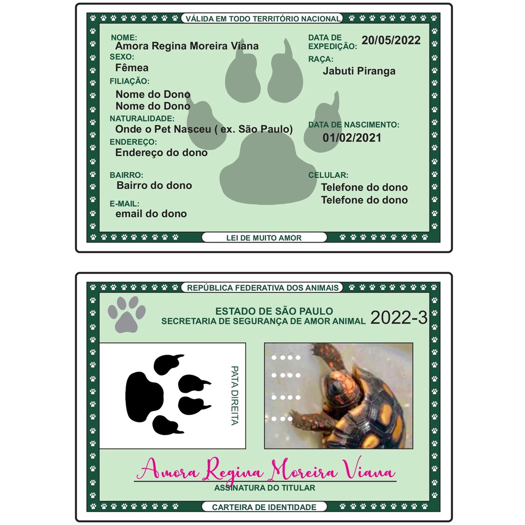Documento de Tartarurga Rg Pet Identidade Pet Cachorro | Shopee Brasil