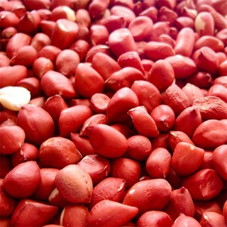 Amendoim Vermelho Crú C/ Pele - 2 kg
