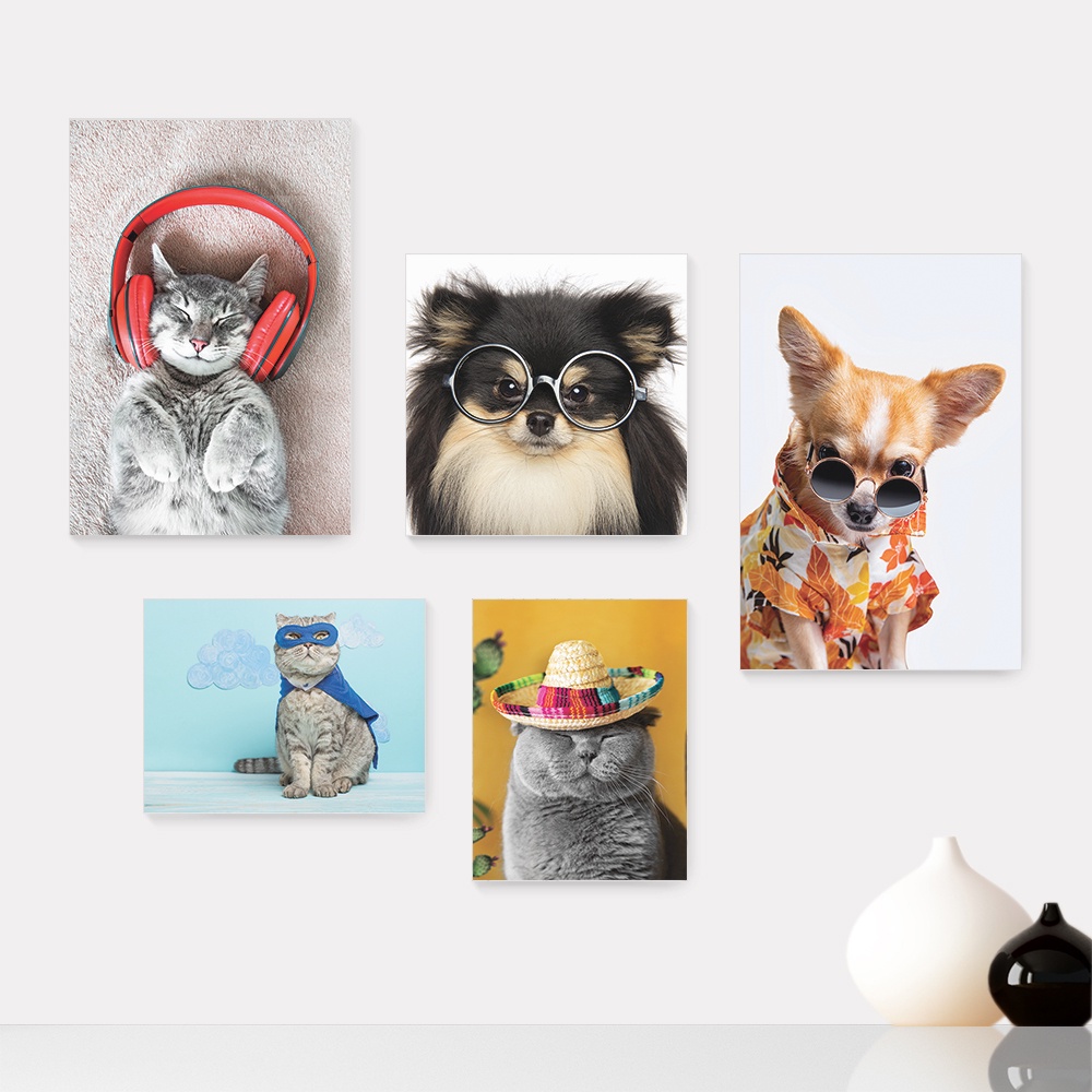 Kit 5 Quadros Decorativos Placas - Pet Shop - Gatos - Animais - Veterinário Casa Quarto Sala - 258ktpl5