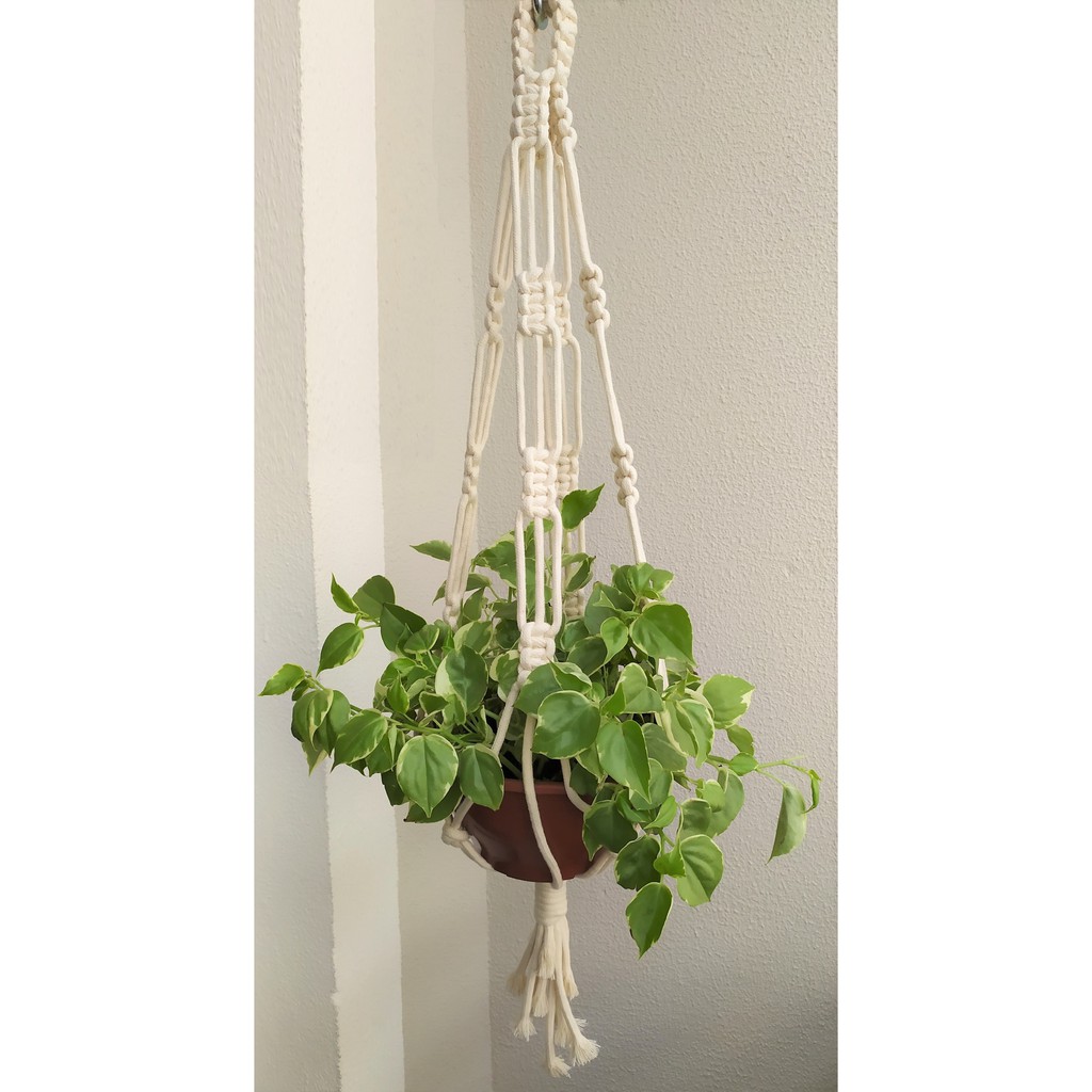 Suporte de planta fio algodão