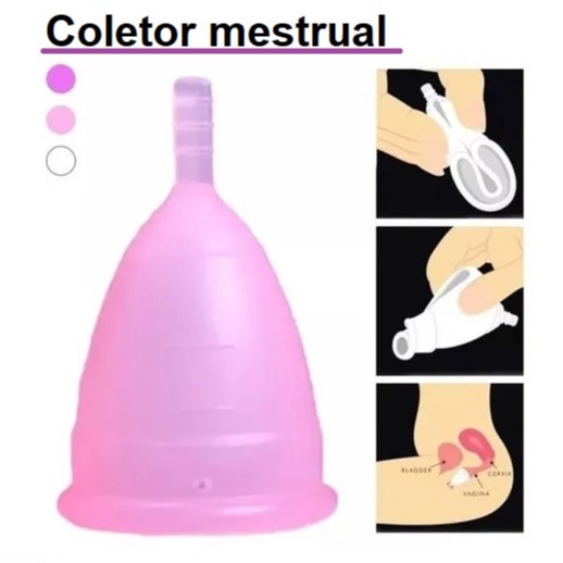 Coletor Menstrual Menstruação