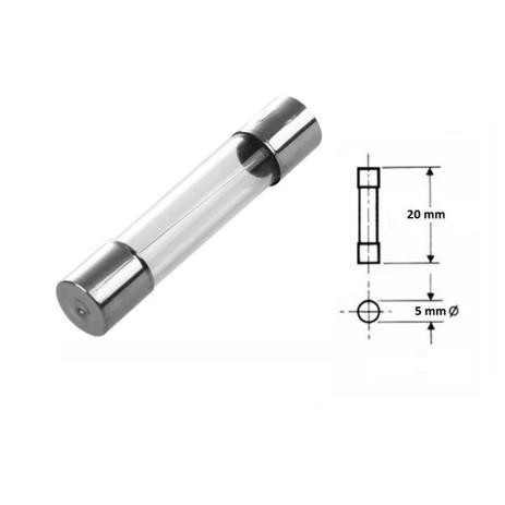 Fusivel De Vidro 10 Amperes 110V 220V Utilizado Em Estabilizador, Nobreaks e Filtros de linha