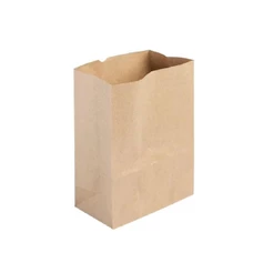 Saco de Papel Kraft Ref 3856 - 17,5x8,5x33cm - 10 unidades