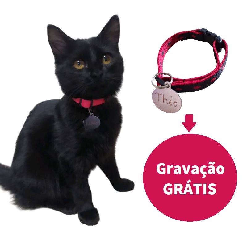 Coleira + Tag de Identificação Gravada para Gatos