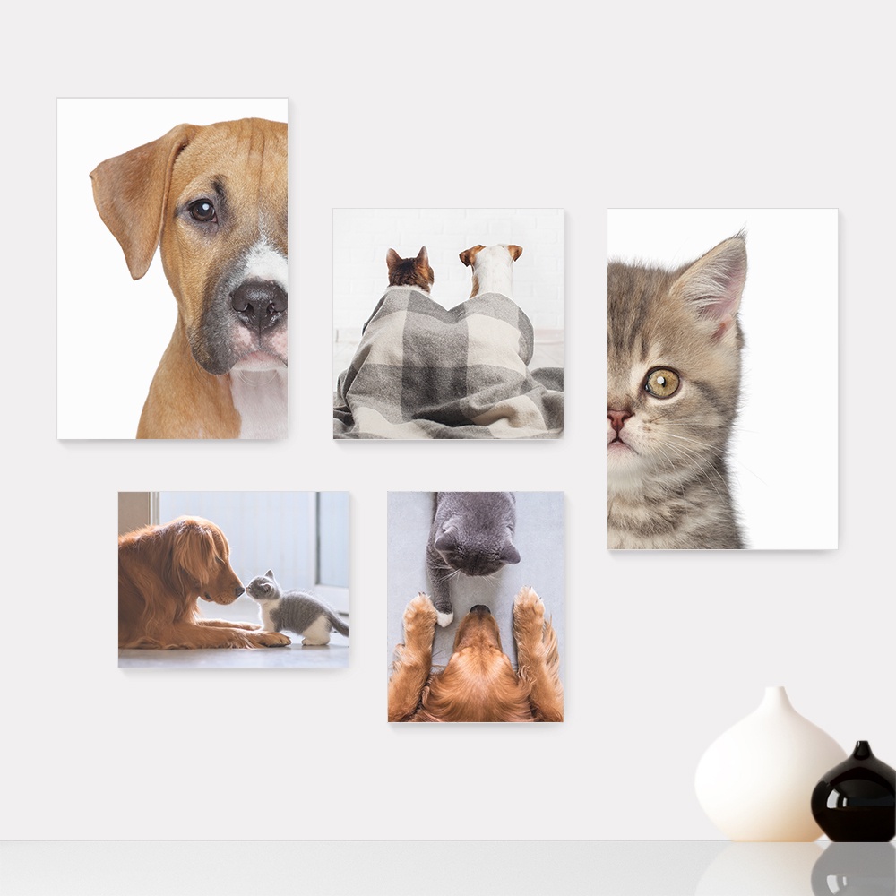 Kit 5 Quadros Decorativos Placas - Pet Shop - Gatos - Animais - Veterinário Casa Quarto Sala - 256ktpl5