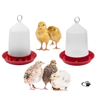 KIT 01 Bebedouro + 01 Comedouro Codornas Pintos Pintinhos Aves Pequena