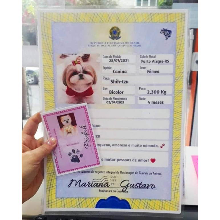 Documento Rg Pet Identidade Pet Cachorro Gato Estimação Impresso e