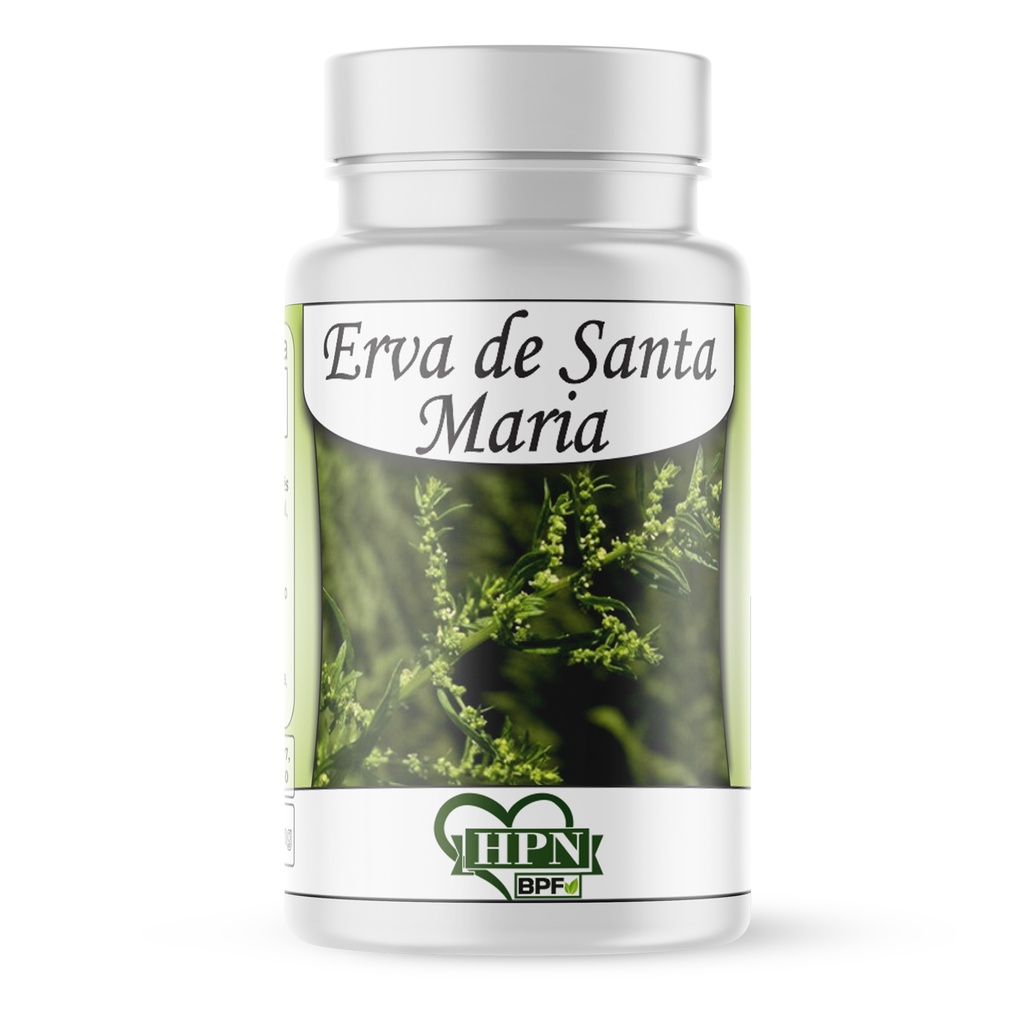 Erva de Santa Maria (Mastruz) Planta Medicinal 500mg Chá Mexicano