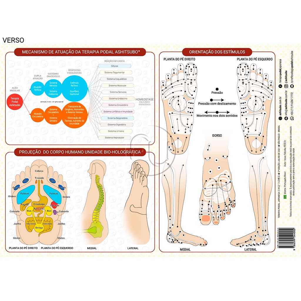 Mapa Reflexologia Podal Japonesa Reflexoterapia Terapia Podal Tamanho A4 Mx 