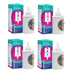 Kit 4 Velas Com Magnesio Agua Alcalina Para Filtro De Barro em Oferta na Shopee