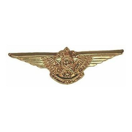 PIN BOTTON BROCHE - MINI BREVÊ AVIADOR FAB 4,5cm