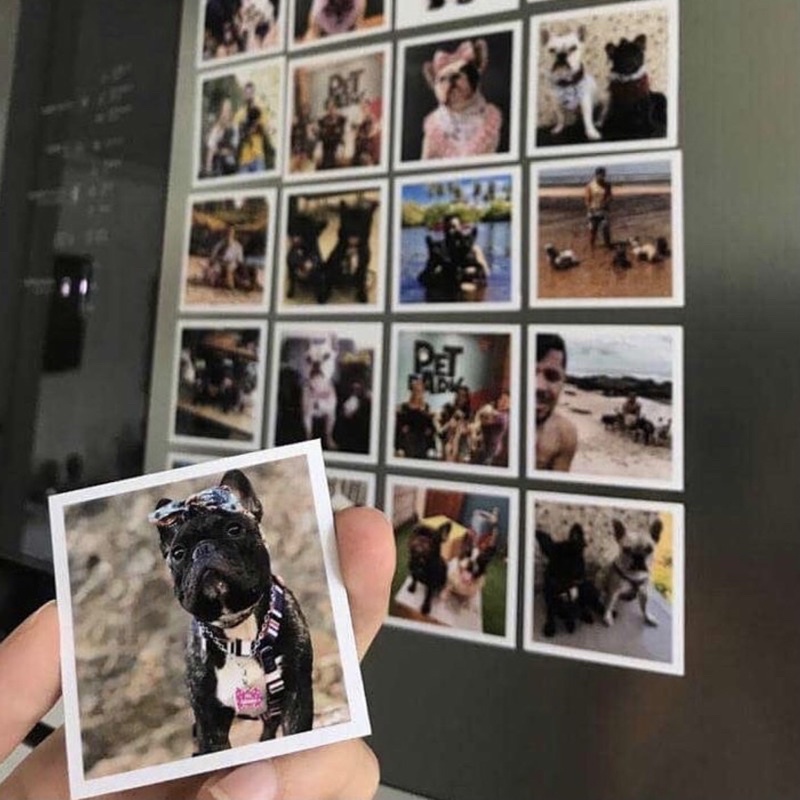 12 Fotos ímã geladeira com proteção UV, não desbota!