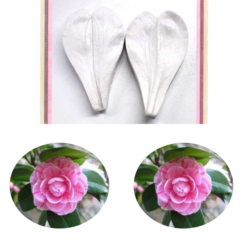 Molde De Silicone Flor Da Camélia - Molde Para Biscuit E Confeitaria