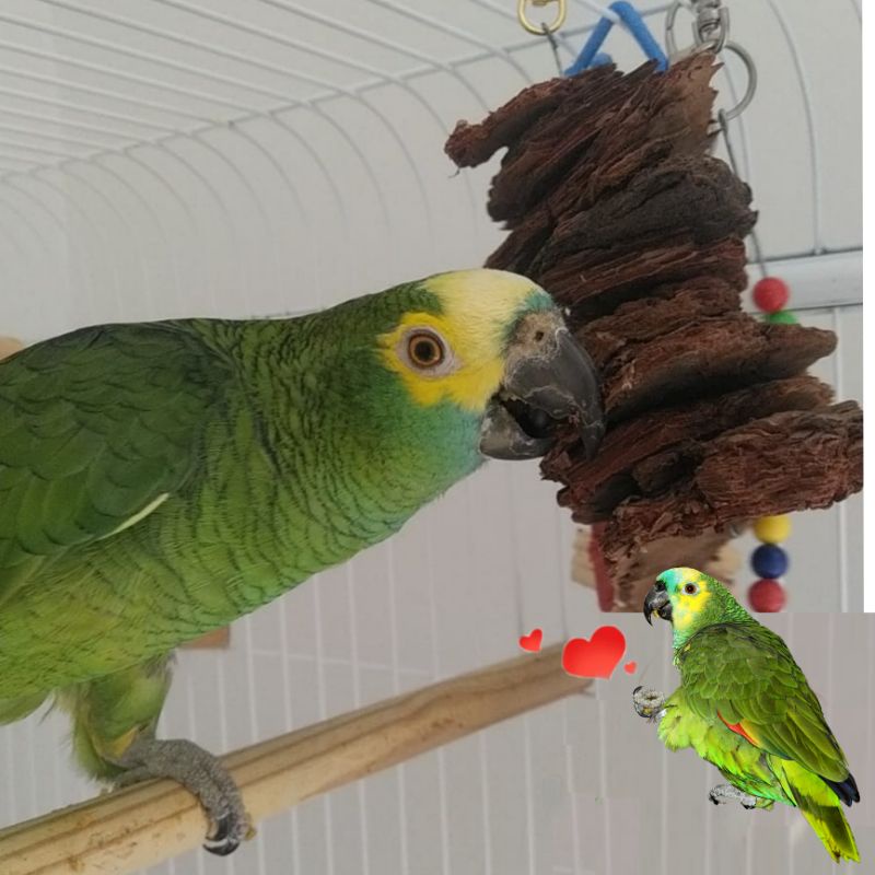 Brinquedo para Papagaio Ring Neck, Brinquedo aves de grande porte, Arara- Brinquedo madeira natural