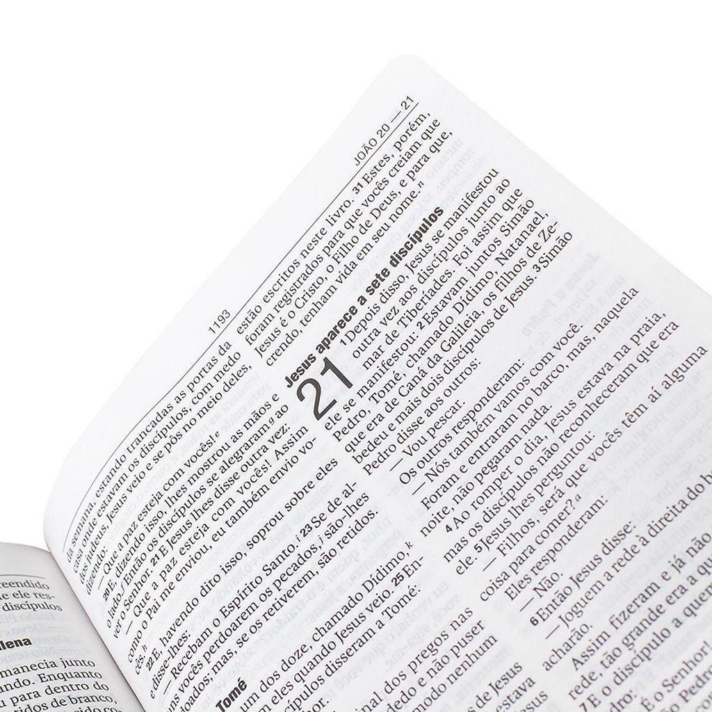 Bíblia Sagrada NAA Letra Grande Capa Dura - Leão · foto 2
