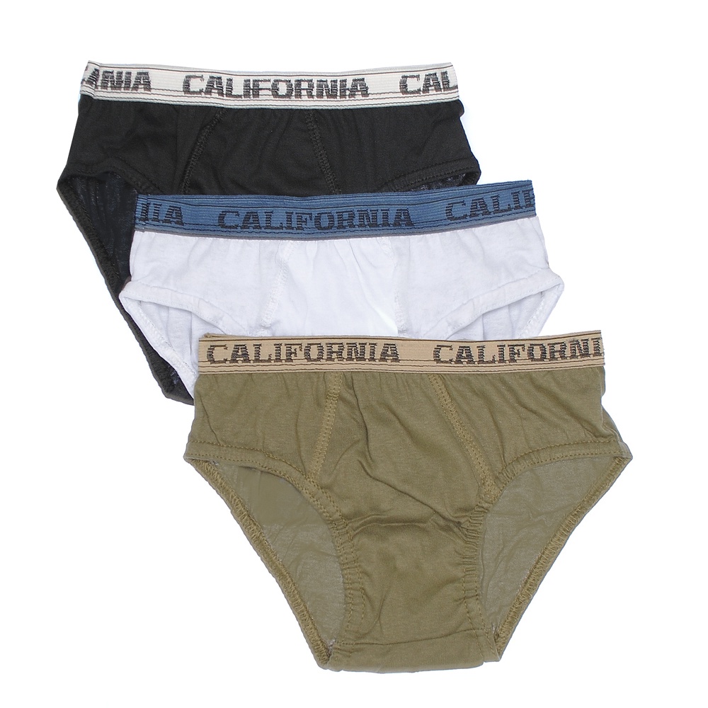 Kit 6 Cuecas SLIP Masculino Algodão Fluir - Cores Sortidas Elastico Largo e Exposto