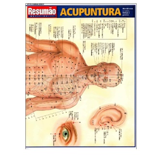 Resumão Acupuntura-Meridianos e Vasos, Linhas e Pontos em Oferta na Shopee