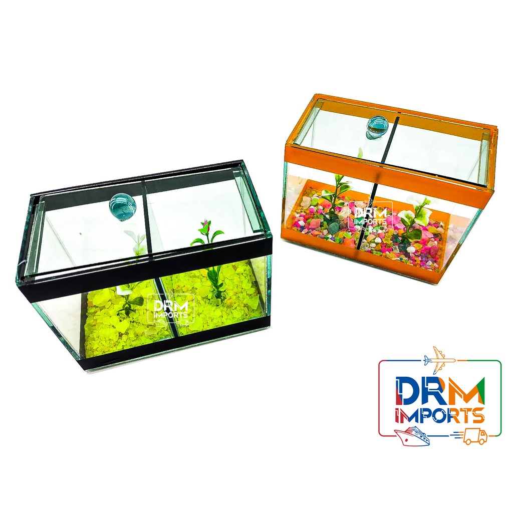 Aquário Duplo Decorado 17x9x13 1,9L Beteiras 2 Peixes Betas em Oferta na Shopee
