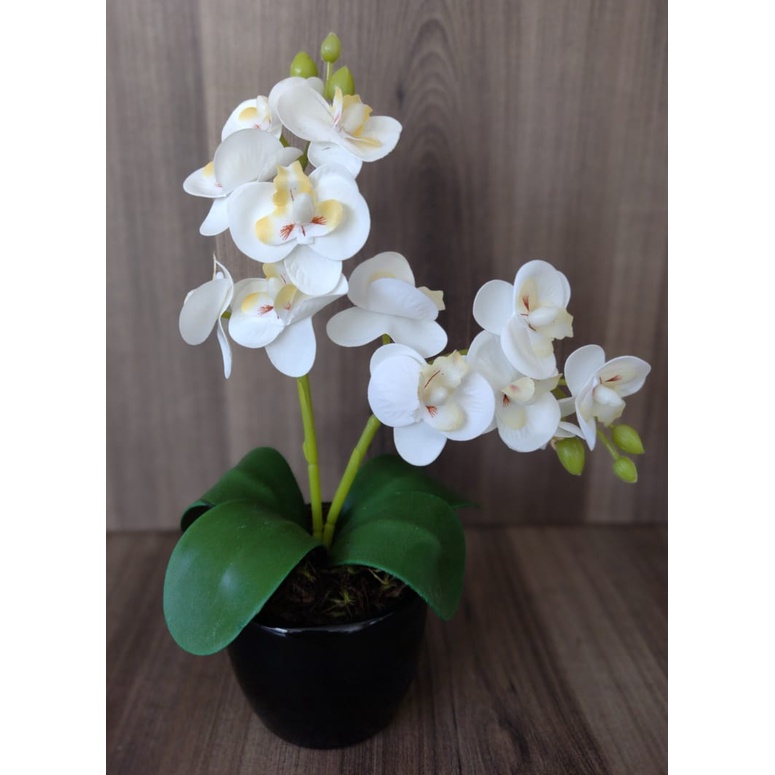Mini Orquídea Branca Artificial No Vaso De Cerâmica Redondo Preto | Shopee  Brasil