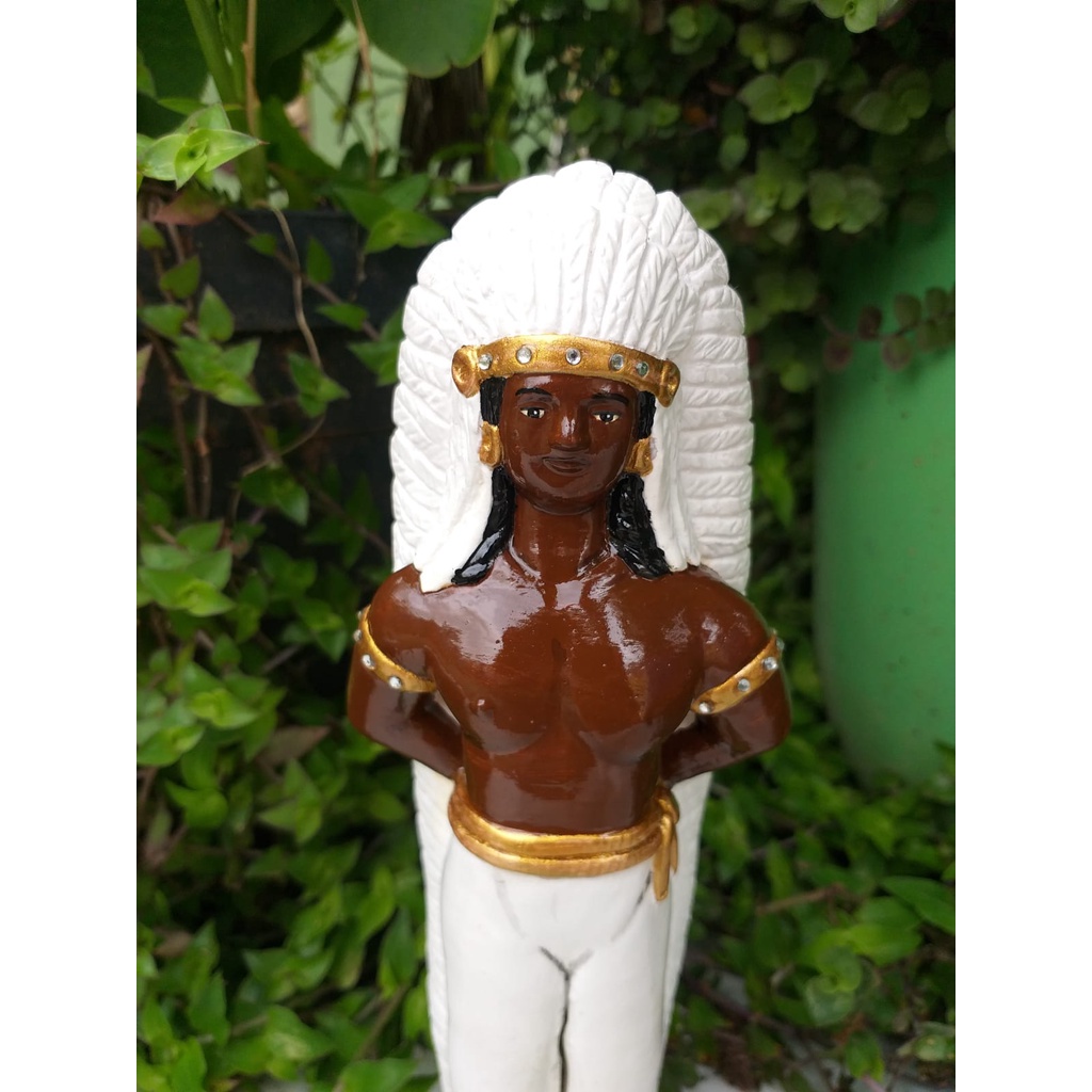 Imagem De Cacique Pena Branca Em Gesso 24 Cm