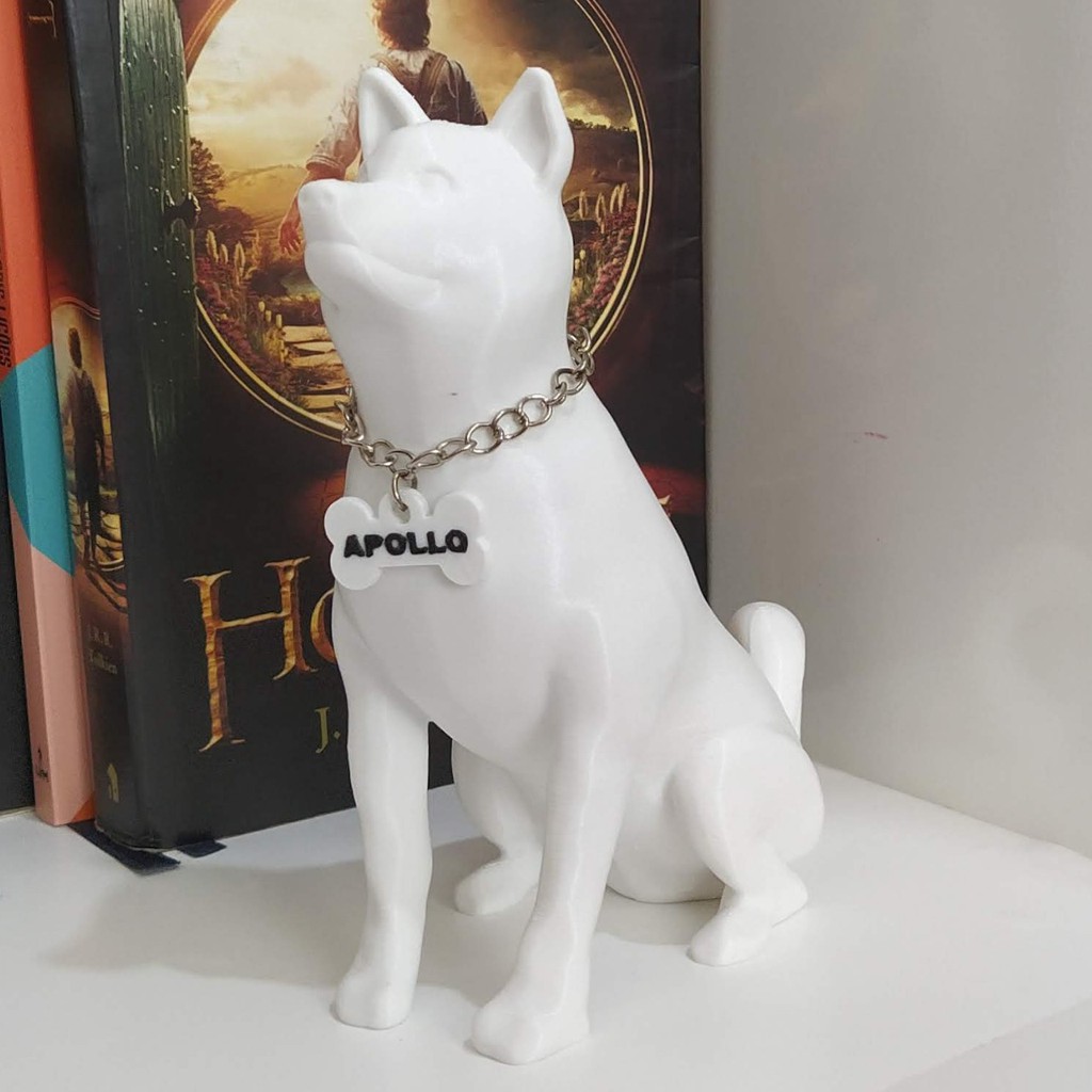 Akita Inu: Guia Completo e Onde Comprar | BuscaProdutos