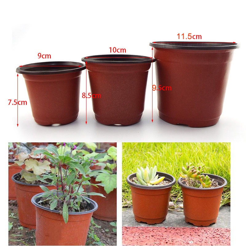 50 Pçs Plástico Berçário Pote Plantador Vasos Recipientes Planta Flor Começando Plantio Bandeja Crescer Caixa Para Casa