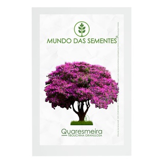 10 Sementes de Quaresmeira Tibouchina Granulosa Premium | Mundo Das Sementes®