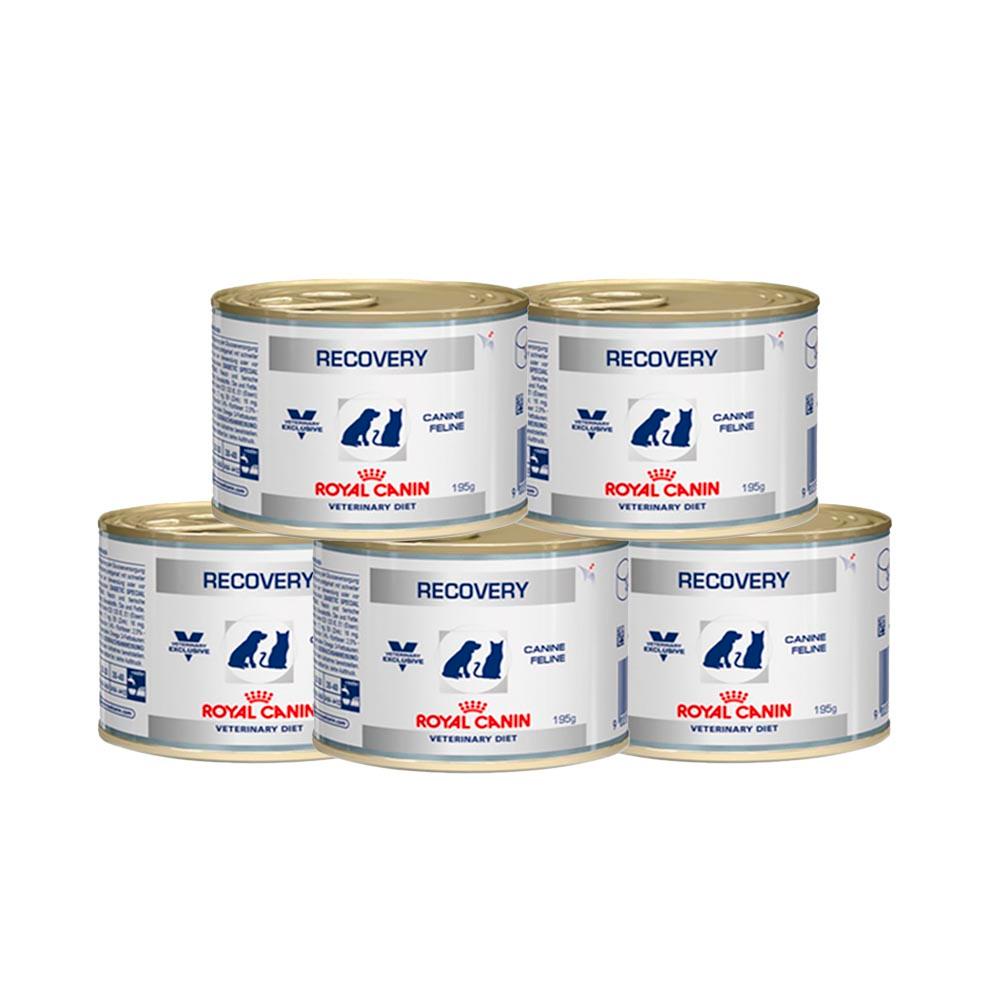 Kit 5 Ração Úmida Royal Canin Cães Recovery Lata - 195g