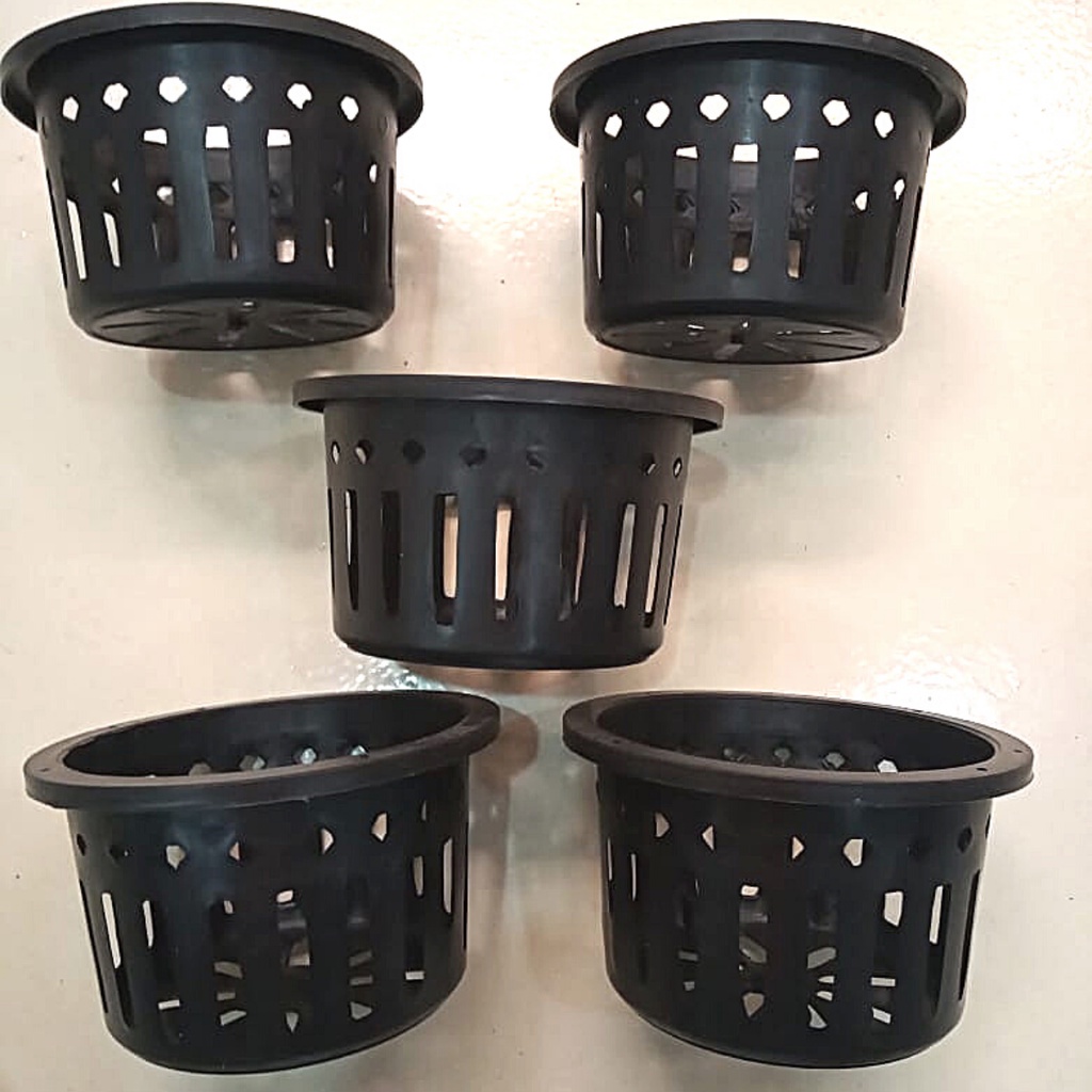 Kit 5 Vasos Cesta Vazado Preto Grande para Orquídeas Vanda ou Stanhopea
