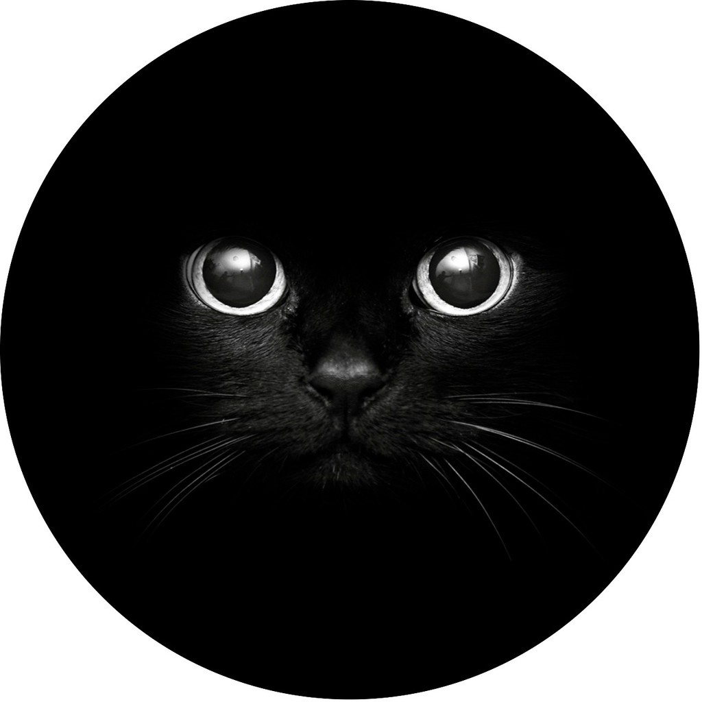 Capa de Estepe para Ecosport Crossfox Felino Gato Preto