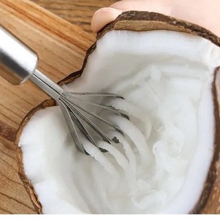 SALDO Raspador De Carne De Coco Forte, Plaina De Carne De Coco Multiuso Universal Clink