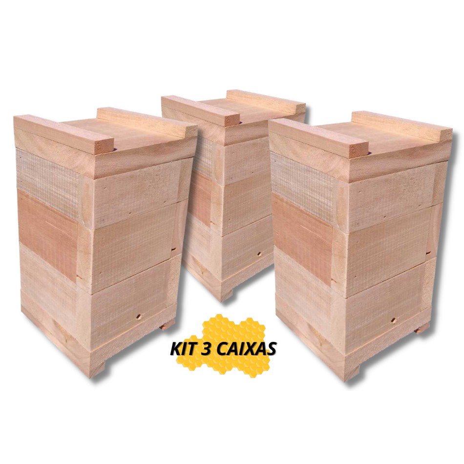 Kit 3 Caixas de Abelhas Jatai Mirim Asf Modelo Inpa Madeira Eucalipto Rosa 10x10cm Interno
