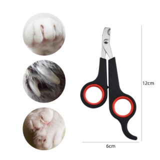 Escova Tira Pêlos Coçador Com Catnip Erva Do Gato Pet Parede Gato Massagem Brinquedo, Luva Tira Pelo/Tesoura Pet