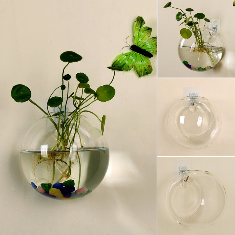 Vaso Vidro Parede Pendurado Tanques Peixes Hidropônicos Terrarium Flores Planta